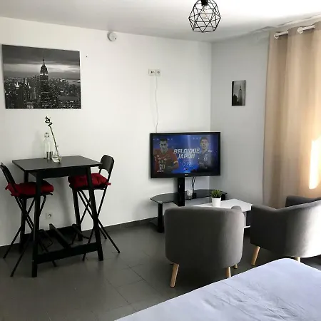 Studio 10min Geneve Aeroport * Ségny